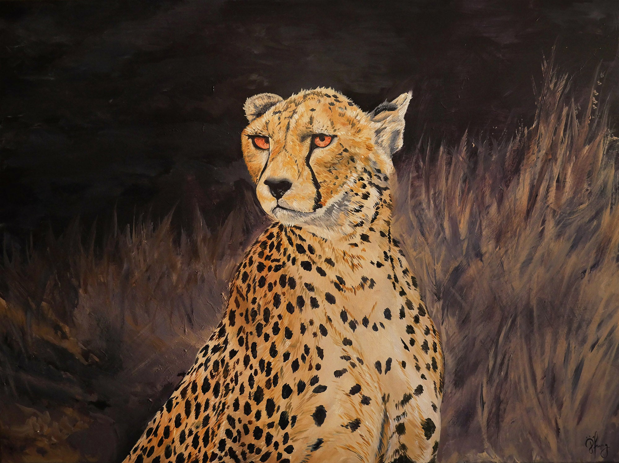 Cheetah